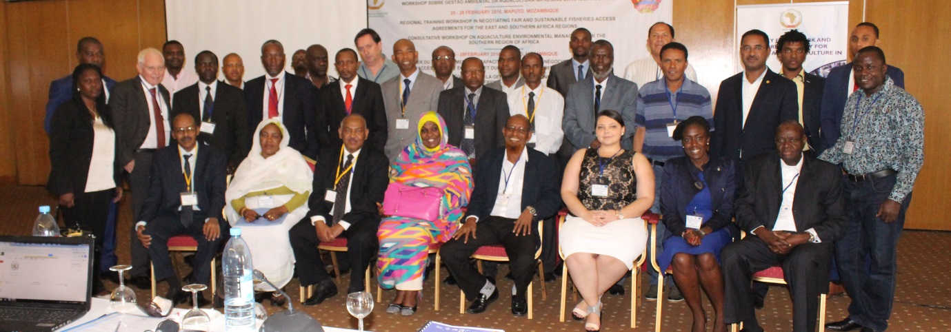  © 2016 AU-IBAR. Regional Training Workshop on Strengthening Capacity for Negotiating Fair and Sustainable Fisheries Access Arrangements in East and Southern Africa. 25 - 27 February, 2016 Maputo, Mozambique.