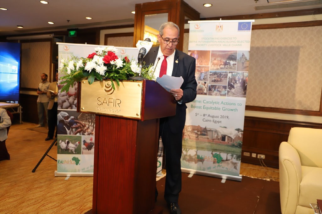 © 2019 AU-IBAR. Prof. Ahmed Elsawalhy's opening remarks.