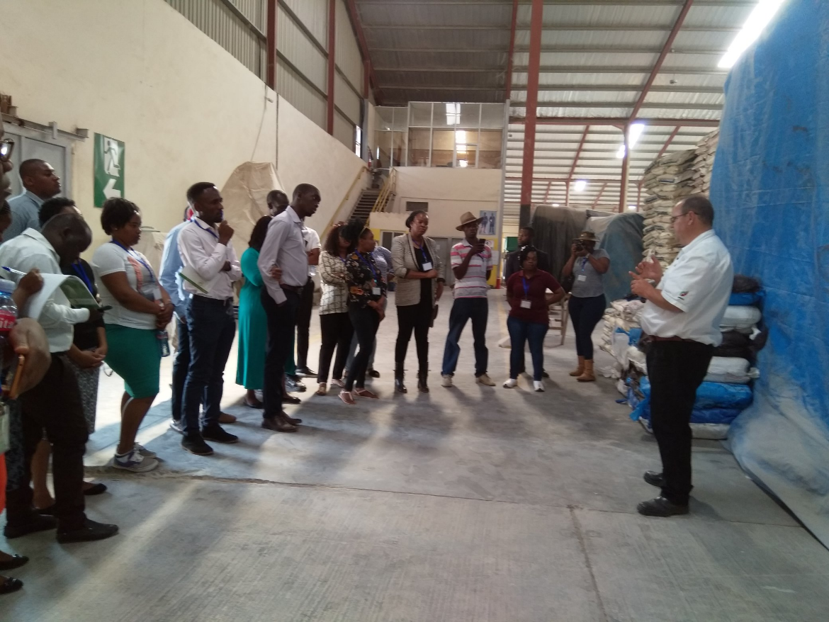 African Youth in Livestock, Fisheries and Aquaculture Incubators Network
