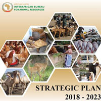 Strategic Plan 2018-2023
