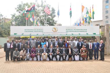 © 2015 AU-IBAR. African delegates at the seventh meeting for OIE delegates, 4th to 6th May 2015, Nairobi.