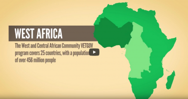 The West and Central African Community VET-GOV Program